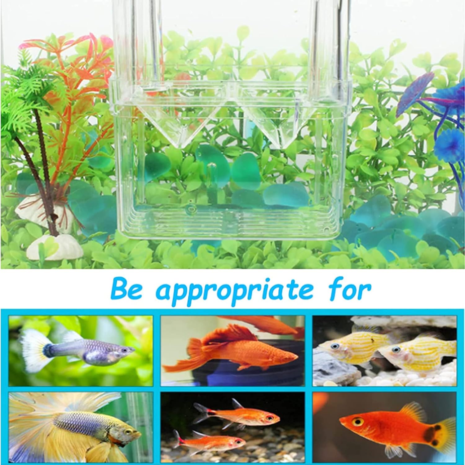 Tfwadmx Fish Breeding Box, 3 Rooms HD Aquarium Breeder Box with Suction Cups Hatchery Acrylic Fish Incubator Isolation with Artificial Plant for Guppy Hatchery