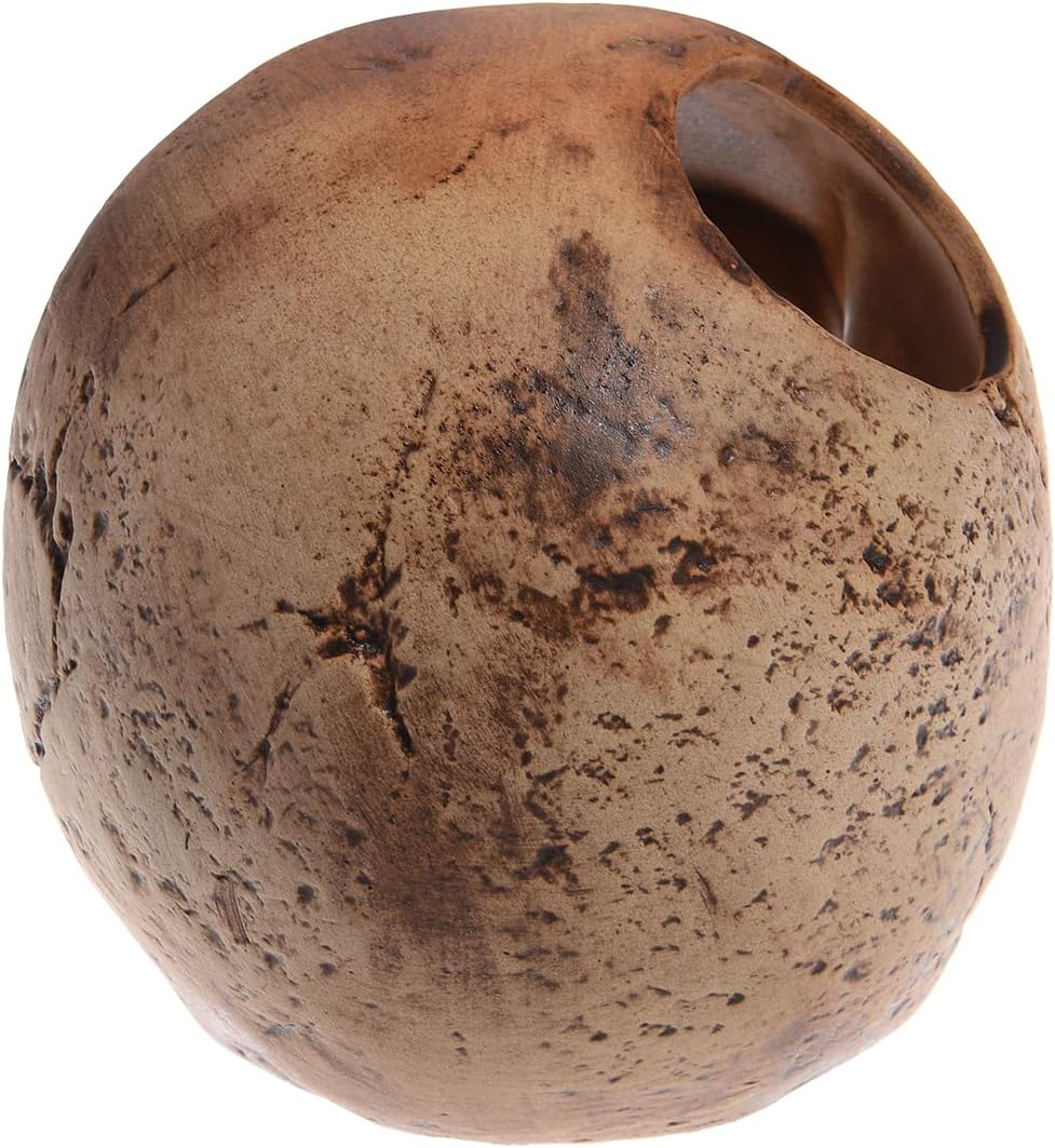 ALEGI Aquarium Decoration Hideaway Rock Cave for Betta Shrimp Cichlid Hiding Breeding Spawning (Ceramic Skull)