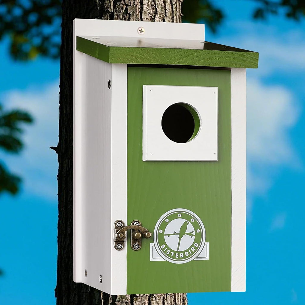 Bird Houses for Outside, Lime Green Bird House, Bluebird Houses for Outside, Garden Decoration Birdhouses for Outdoors, Bluebird Finch Swallow Wren Chickadee