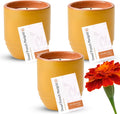 Modern Sprout Garden Vibes 2-in-1 Soy Candle & Planter Set - Patio Goals 3-Pack (Bug-Repelling Citronella, Rosemary, Cedarwood, Mint) 6 Oz Outdoor Scented Candles with Marigold Seeds - 38–40 Hour Burn