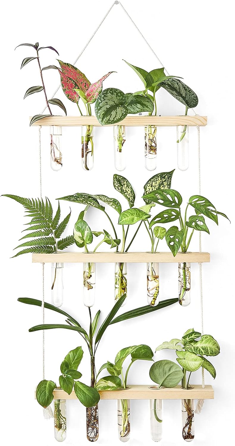 Mkono 3 Tiered Wall Hanging Plant Terrarium with Wooden Stand, Glass Planter for Hydroponic Plant Cutting, Home Garden Office Decor, Gift