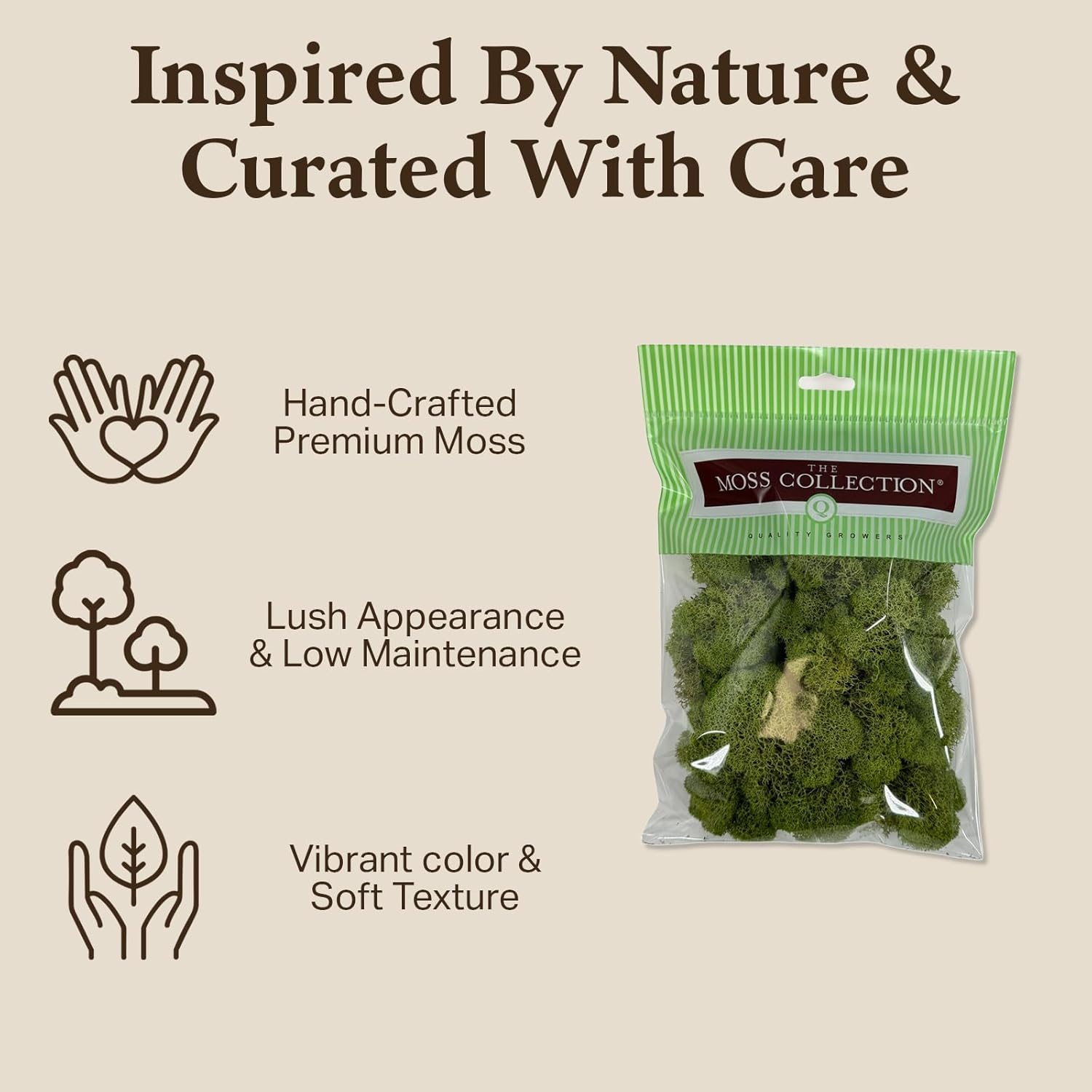 Quality Growers - Preserved Reindeer Moss - Moss for Crafts, Home Decor, Art, Design & DIY Projects - Non-Toxic - USA Made (Spring Green, Small, 2-Pack)