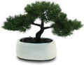 Artificial Bonsai Tree for Office, Faux Bonsai Juniper Small Artificial Plants for Home Entryway Decor Living Room Apartment Bookstore Cafe Desk, Fake Bonsai with Ceramic Pot (13.5 x9.5 in)