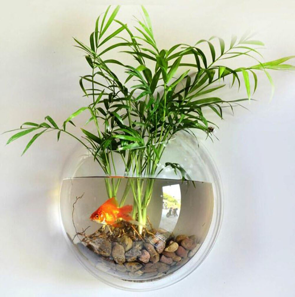 Hanging Wall Mounted 1 Gallon Fish Tank Bowl Aquarium Wall Decor Plant Fish Bubble - Clear (Large)