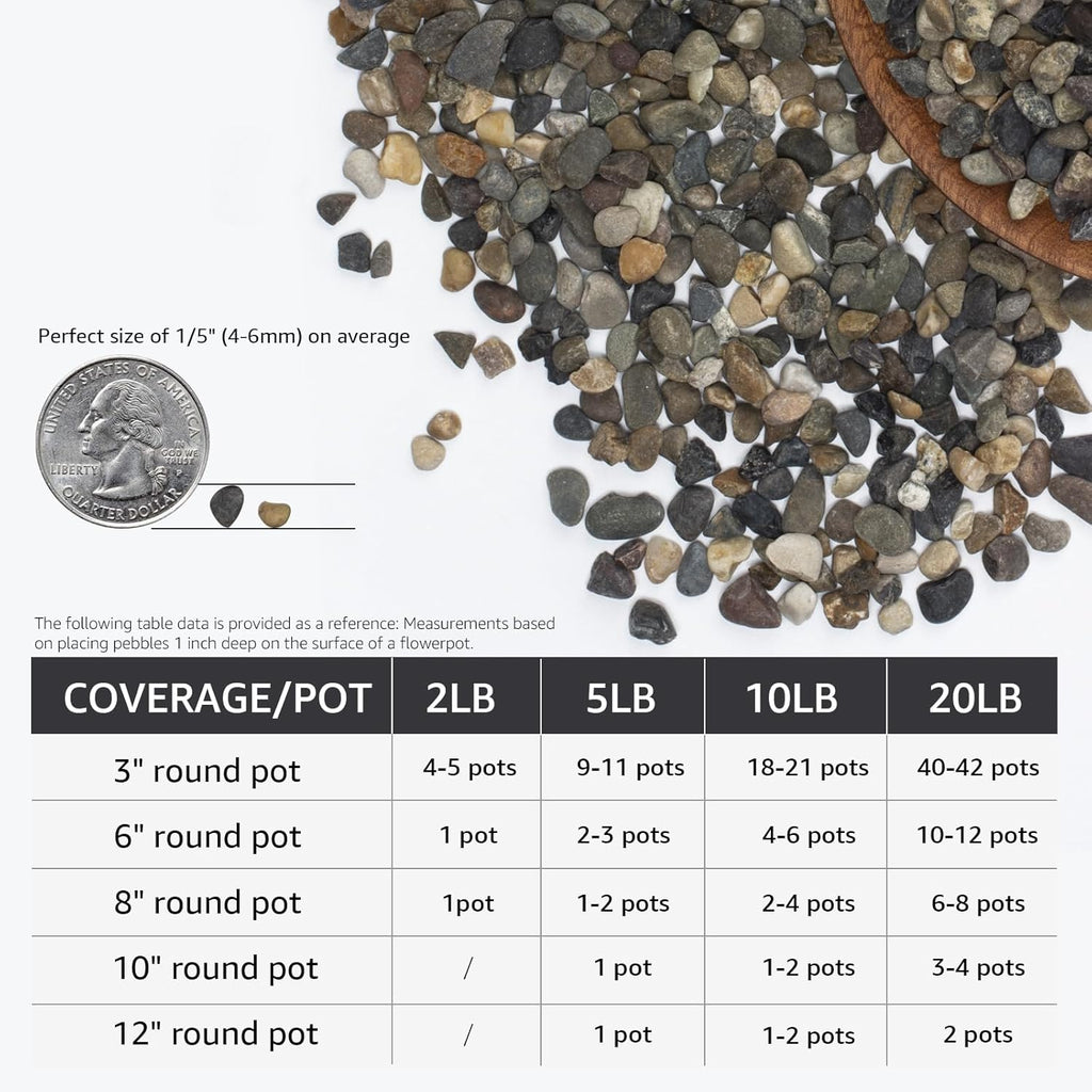 2lbs Fish Tank Rocks, 1/5 Inch Pea Gravel for Fish Tank, Decorative River Rocks for Aquarium Succulent Cactus Plant Vase Fillers Soil Cover and Outdoor Landscaping Stones
