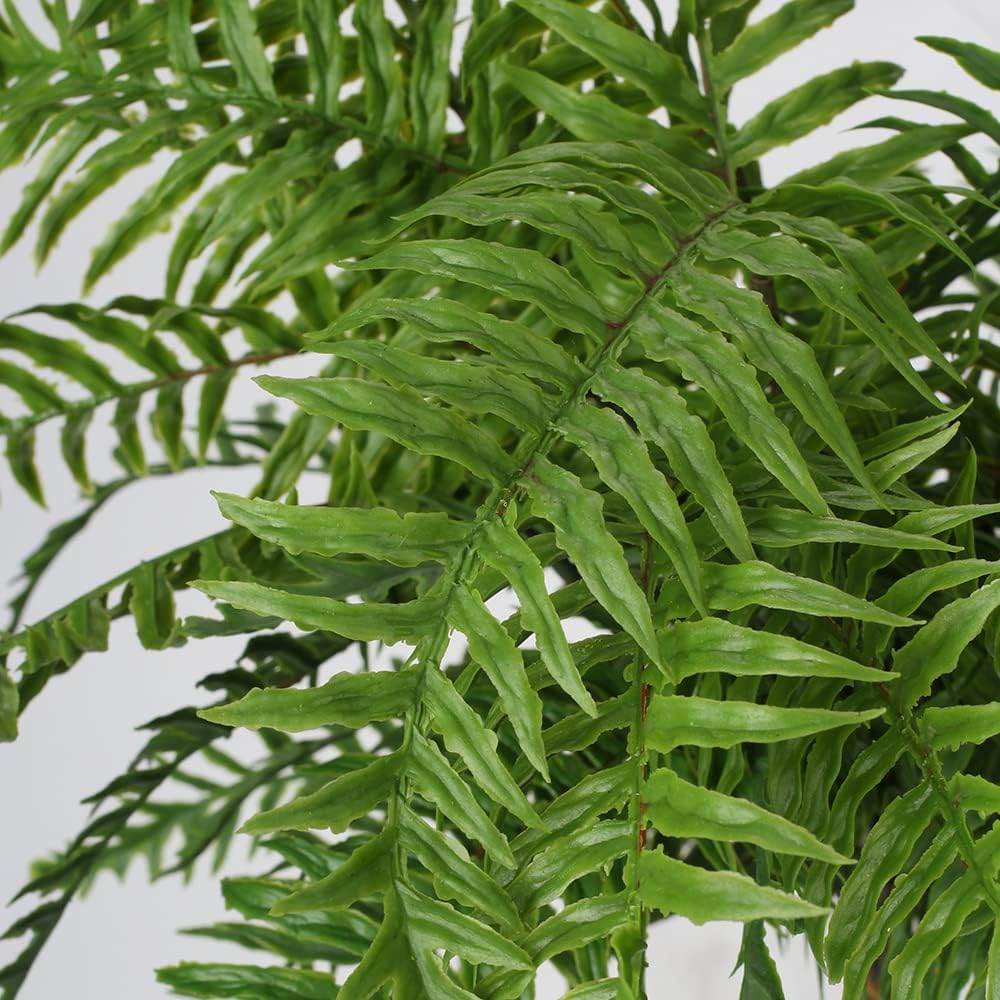 Briful 30" Artificial Boston Fern Plants Bushes Fake Shrubs Bush Greenery Plants Faux Fern Plant Large for Outdoors UV Resistant Garden Plants or Home Office Desk Indoor Decor 6pcs