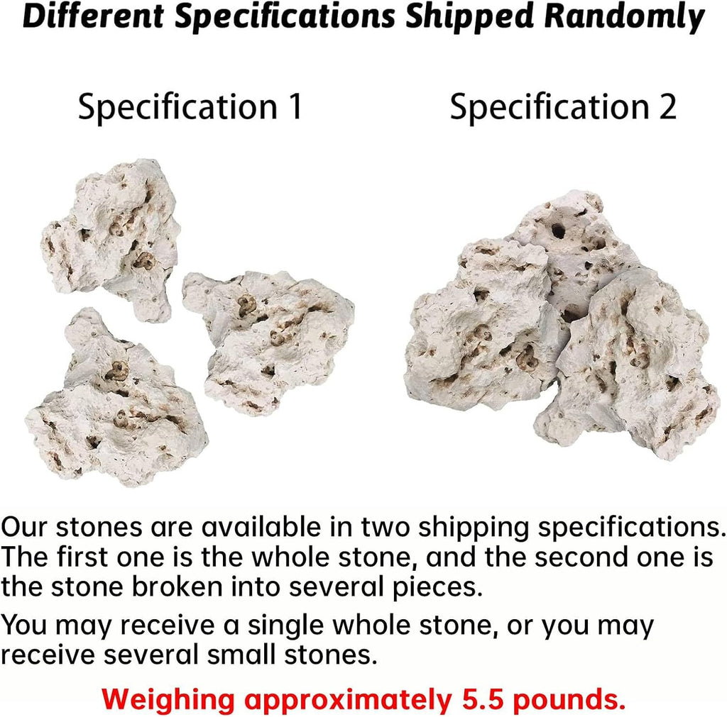 Hamiledyi Aquarium Holey Rock Stone White Coral Ornament Sea Base Rocks for Aquarium Aquascaping Natural Limestone Decor for Fish Tank Aquatic Shrimp Pet Reptile Habitat (Random Size and Quantity)