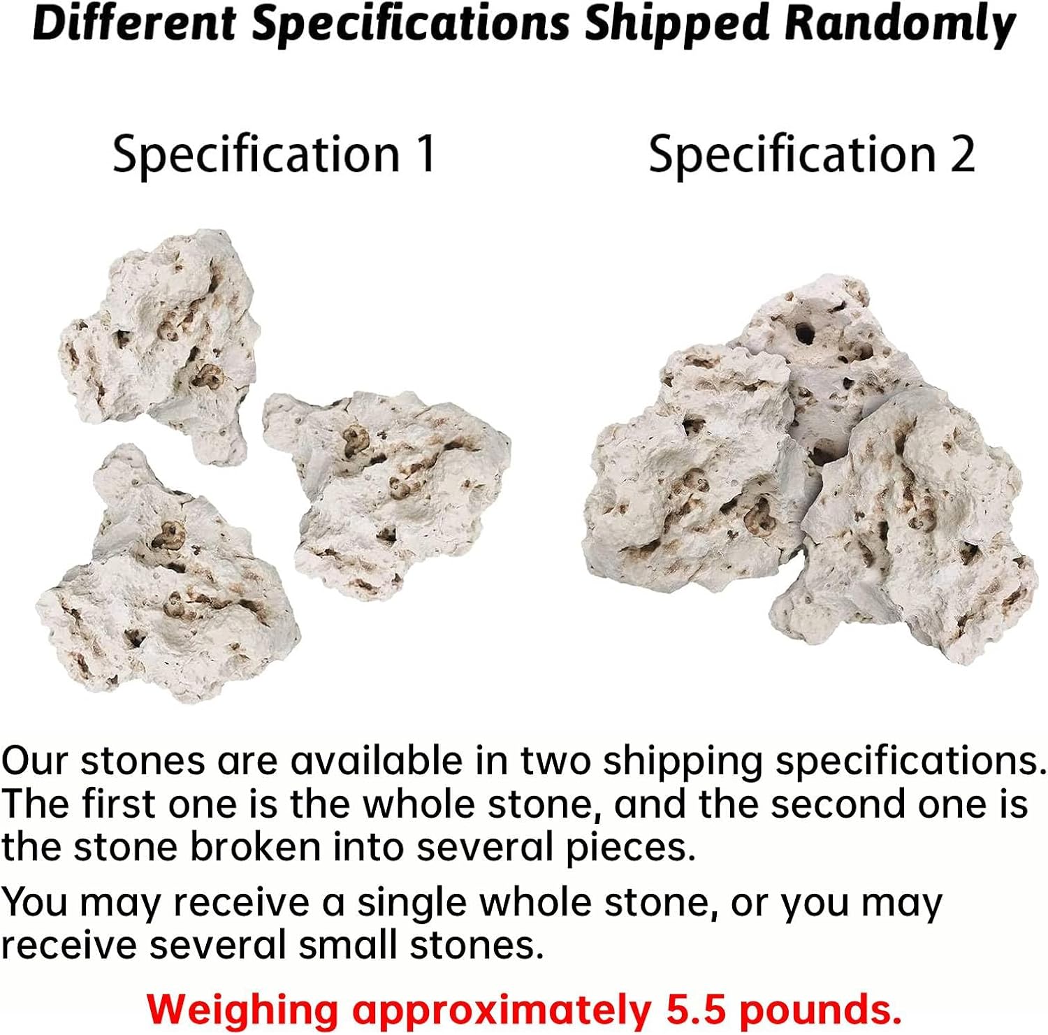 Hamiledyi Aquarium Holey Rock Stone White Coral Ornament Sea Base Rocks for Aquarium Aquascaping Natural Limestone Decor for Fish Tank Aquatic Shrimp Pet Reptile Habitat (Random Size and Quantity)