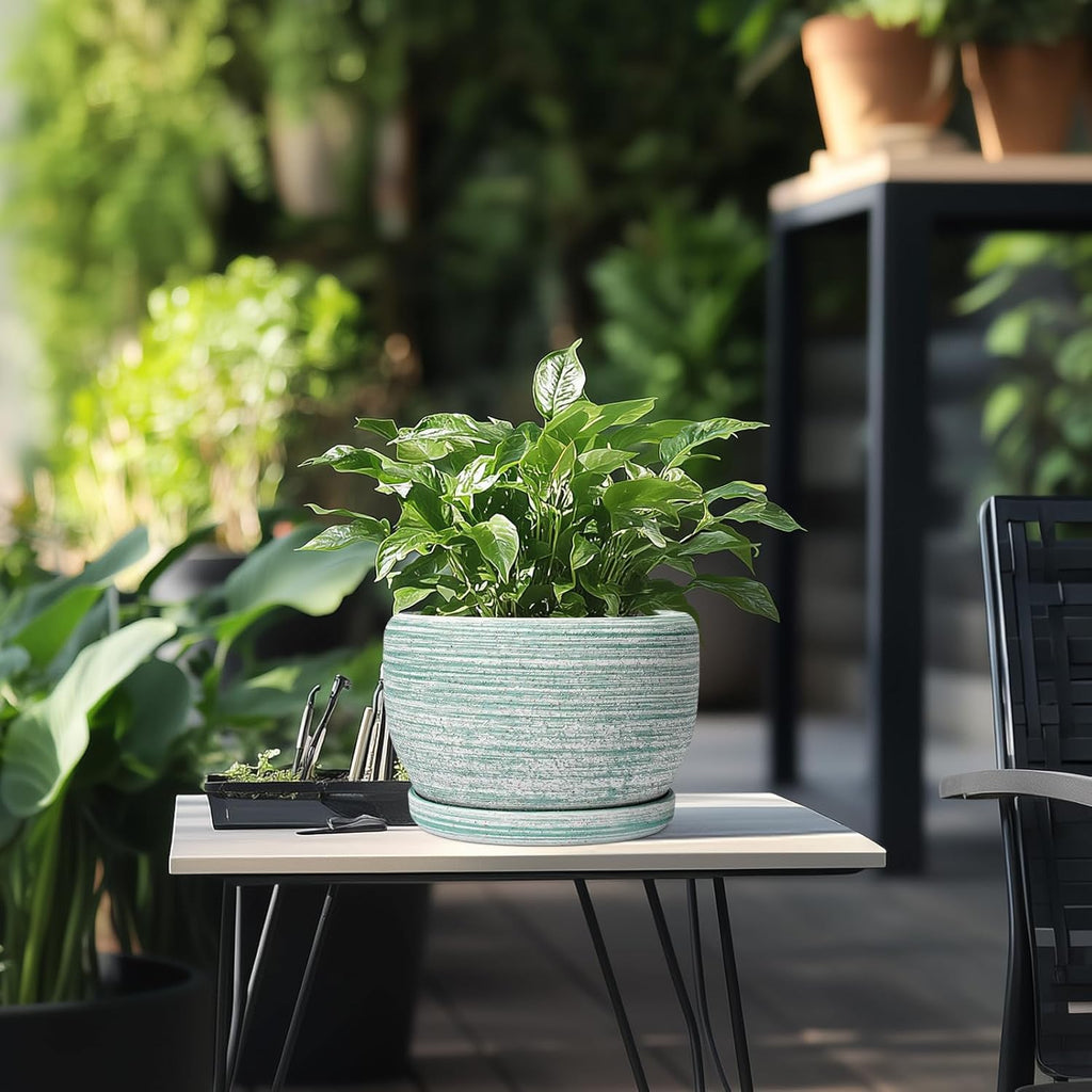 SQOWL Ceramic Planters for Indoor Plants - 8 inch Plant Pot Outdoor, Ceramic Flower Pot with Drainage Hole and Saucer, Round Modern Planter, Living Room Apartment Decor, Birthday Gifts, Green