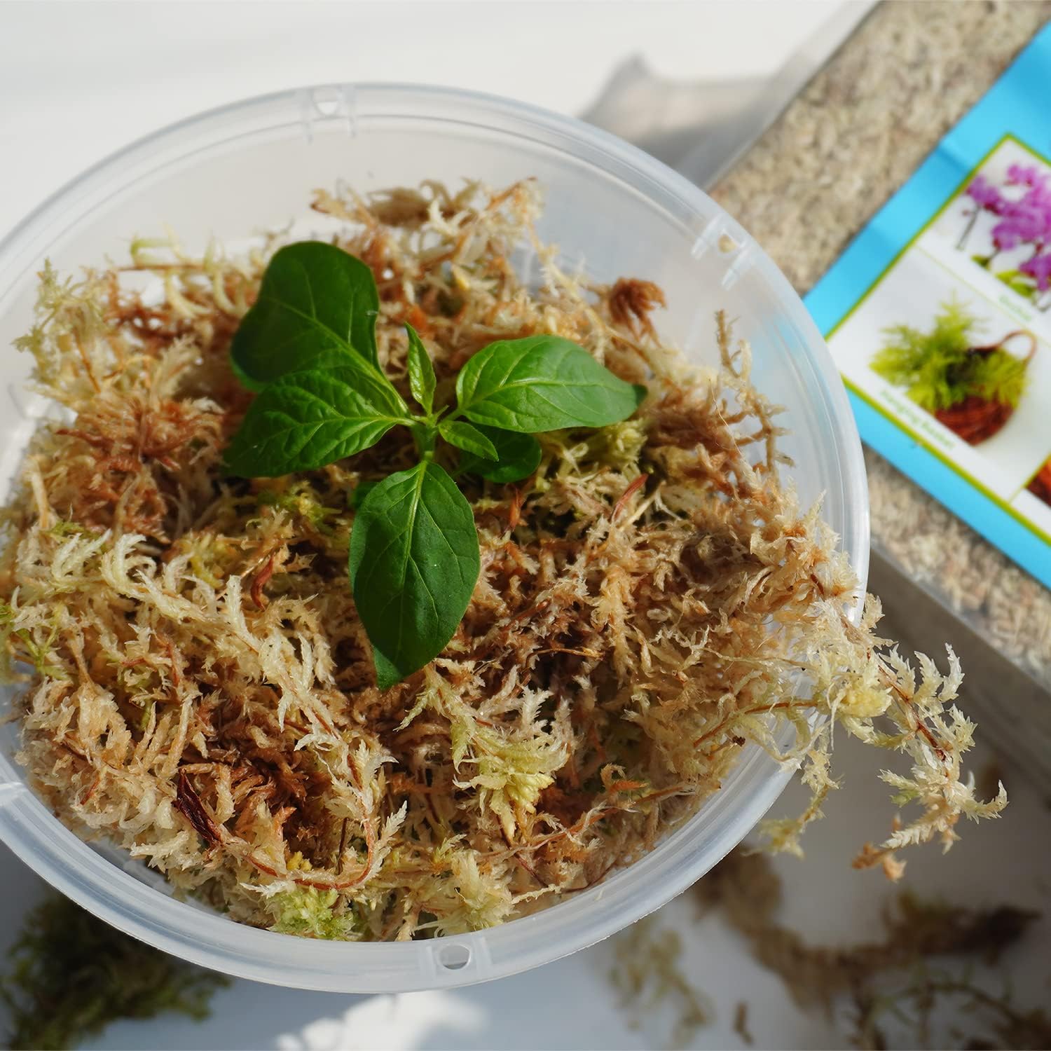 Sphagnum Moss 1.2 lb for DIY Moss Pole, Great Potting Mix for Indoor Plants, Help with Maintain Humidity