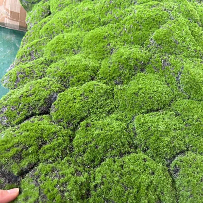 Artificial Moss Mat 1x1m(3.2x3.2ft) DIY Fake Moss for Art Wall Florist Decor Balcony Deck Patio Backyard Indoor Outdoor Decor