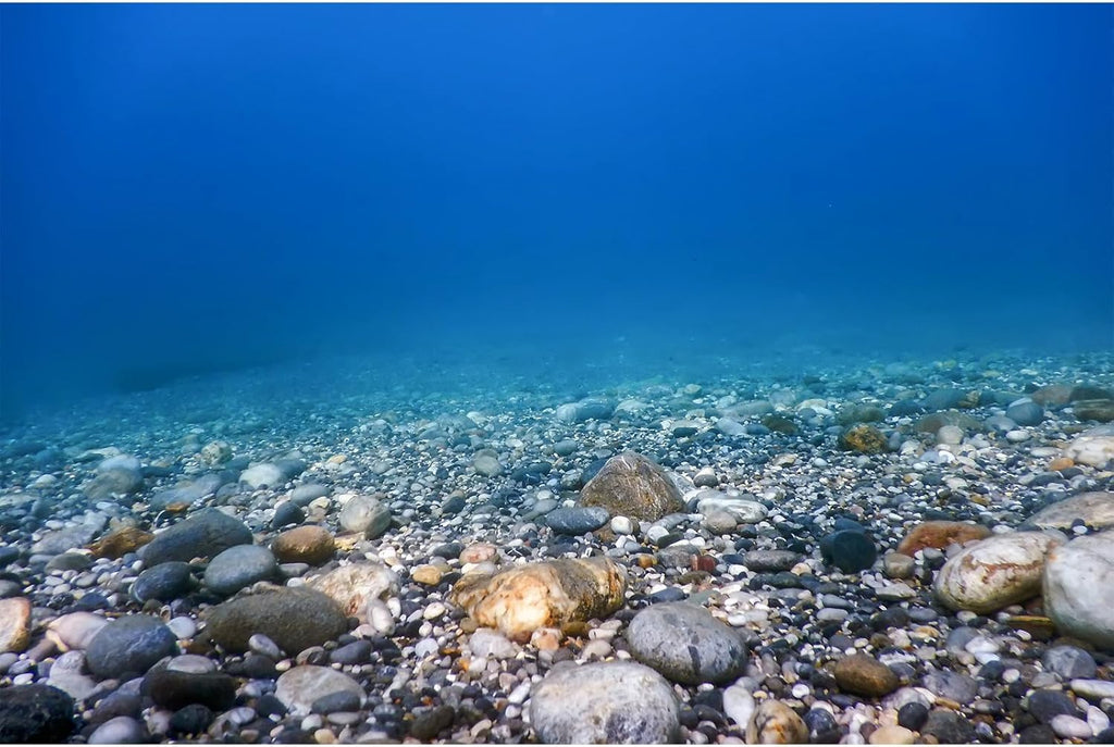 Underwater Aquarium Background Ocean Seabed Underwater Rocks and Pebbles Fish Tank Background Sunlight Underwater Life Terrarium Background Sunbeams Underwater Rocks Aquarium Backdrop 36x18in