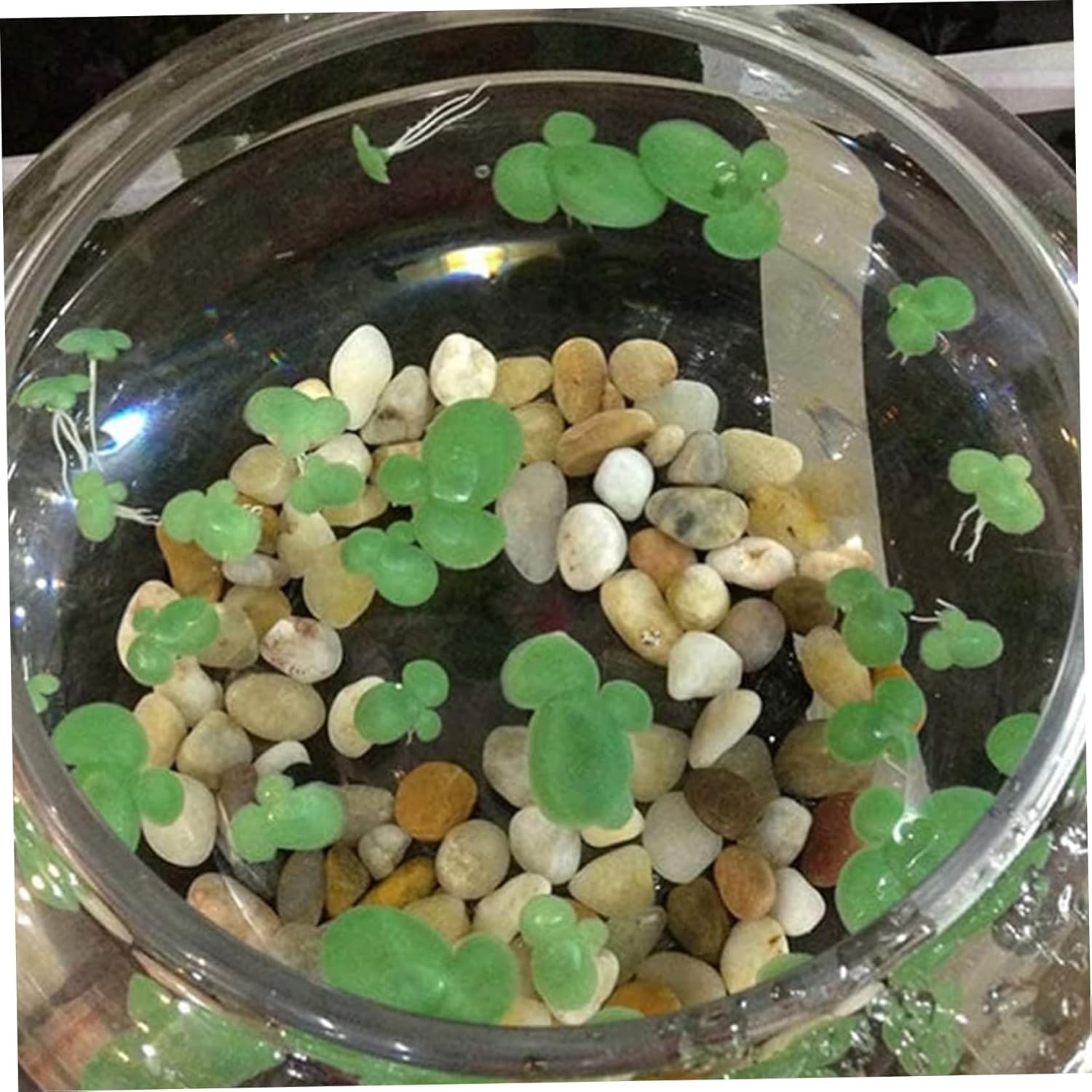 72Pcs Duckweed, Plastic Fake Pond Plants with Leaves & Roots, Floating Aquarium Plants for Indoor, Outdoor Floating Aquarium Fake Pond Weed