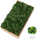 Preserved 7 OZ Dark Green Reindeer Moss for Potted Plants,Craft Decor for Wall Art,Fake Moss for DIY Decorative(7OZ, Dark Green)