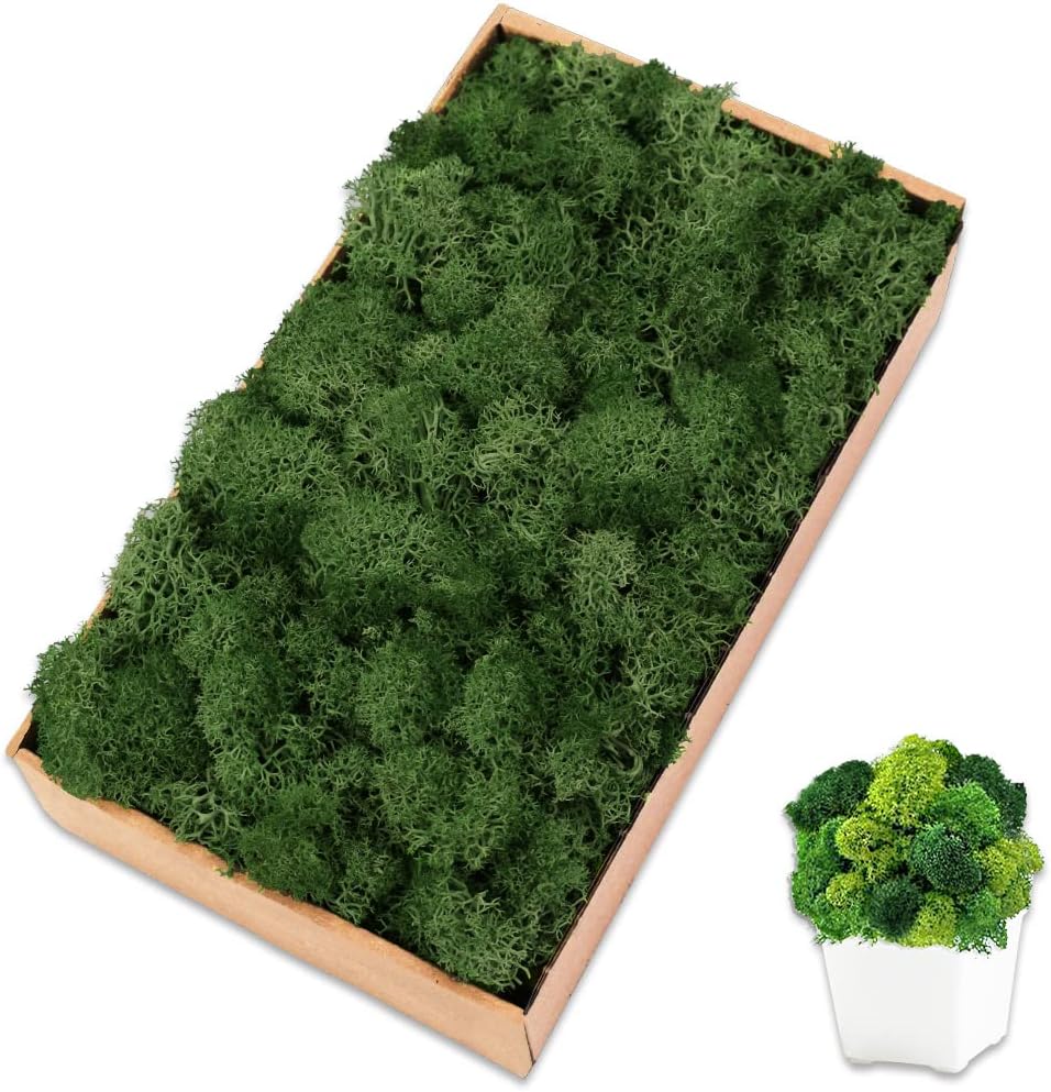 Preserved 7 OZ Dark Green Reindeer Moss for Potted Plants,Craft Decor for Wall Art,Fake Moss for DIY Decorative(7OZ, Dark Green)