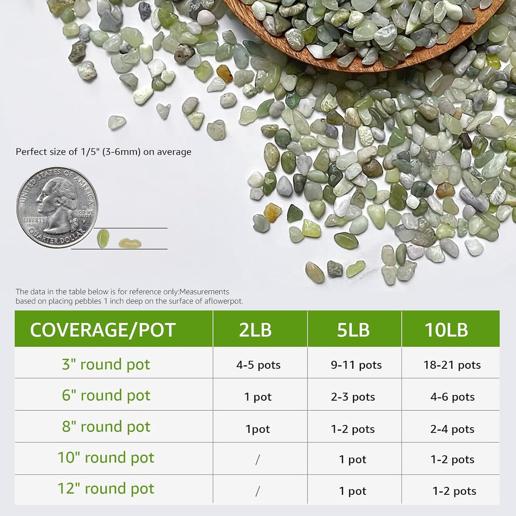 2LB Jade Succulent and Cactus Pebbles - 1/5 Inch Natural Polished Decorative Stones for Indoor Plants, Vases, Planters, and Outdoor Gardening