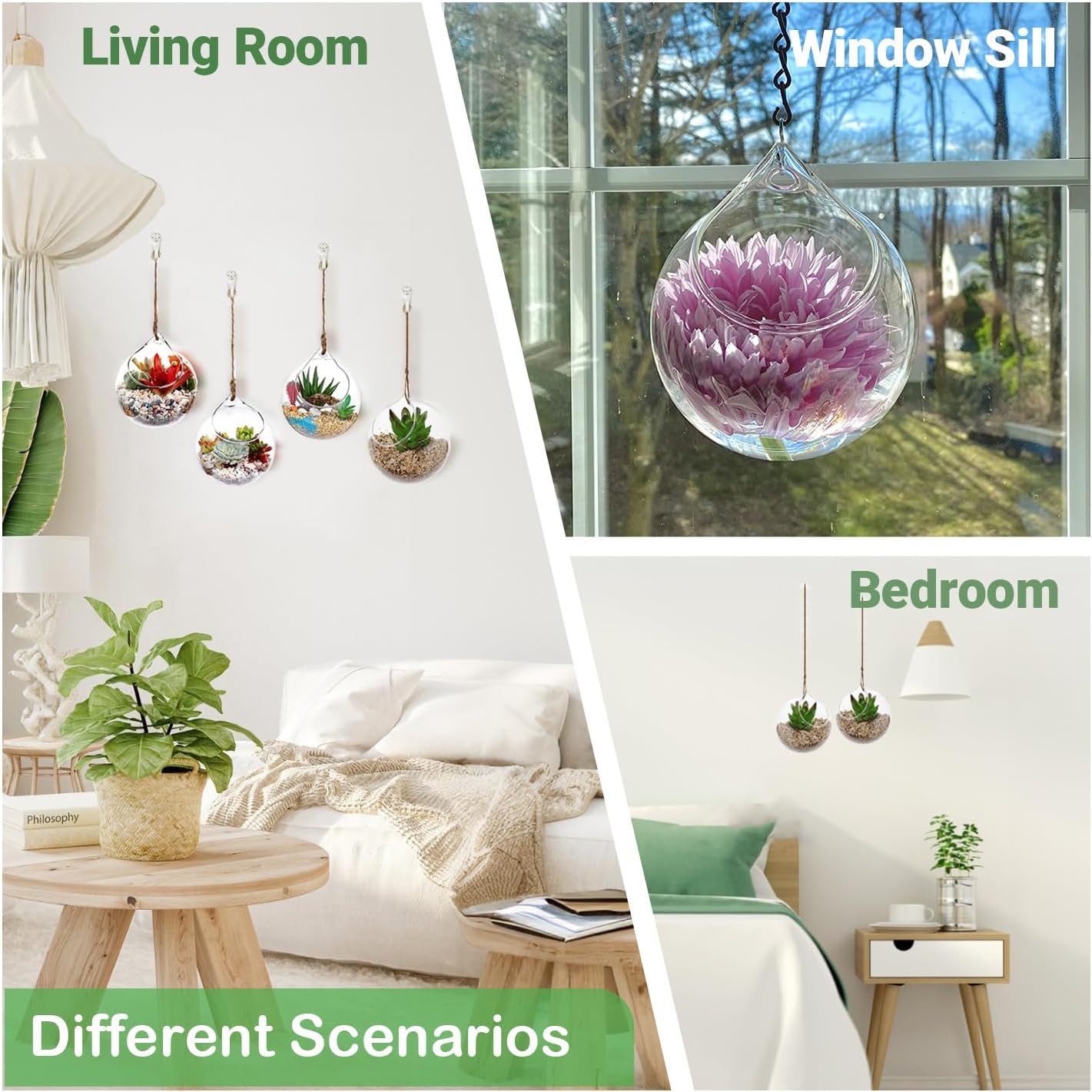 Propagation Station, Plants Terrarium, Plants Lover Gifts for Women,Plant Cutting Holder Home décor,Gifts for Women,House Warming New Home-3 Globe Shape