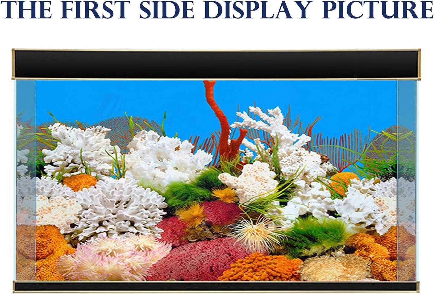 ELEBOX New 20" x 48" Fish Tank Background 2 Sided River Bed & Lake Background Aquarium