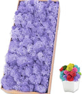 Preserved Moss for Crafts Light Purple Reindeer Moss for Potted Plants, Craft Decorative Moss Decor for Wall Art, Dried Moss(1.1 lb, Light Purple)