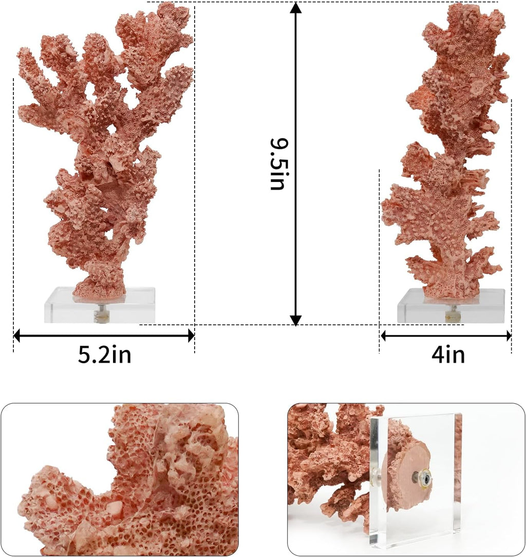 Coral Beach Decor, Artificial Resin Coral Reef Statue, Coastal Room Decor Beach Decorations for Home Bathroom Bedroom,Ocean Themed Decor for Office,Aquarium,5.2''Lx9.5''H, RB1002P, Pink
