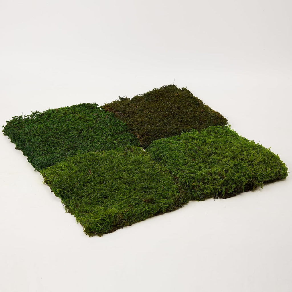 Preserved Sheet Moss Natural Green Decorative Real Natural Green DIY Kit Gardenning Art Wall Decor Florist Decor Easter Table Decor Wedding(4 sq.ft.) (Green-A,Green-B,Green-C)