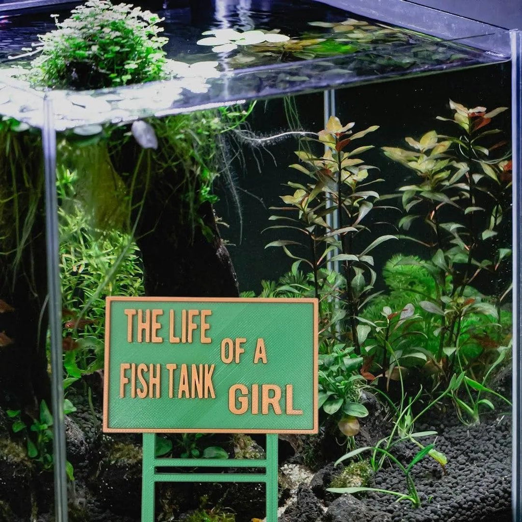 The Life of A Fish Tank Girl Themed Fish Tank Betta Decoration Aquarium Gift for Life of A Fish Decor