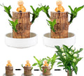 Brazilian Lucky Wood Plant Set, Natural Fortune-Bringing Ornaments Suitable for Office Desks, Desks, and Bedrooms (Yellow Monk)