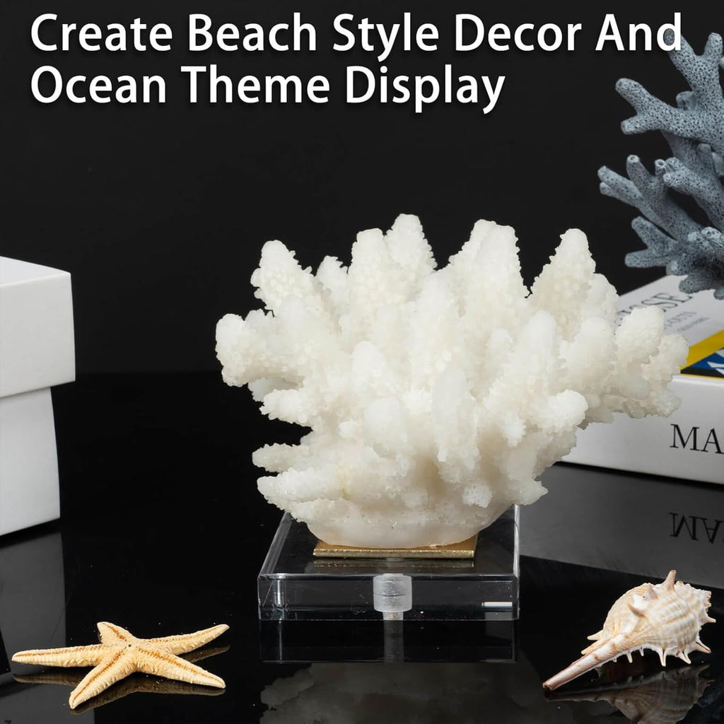 Faux Coral Decor - Resin Coral Home Decor with Acrylic Base - White