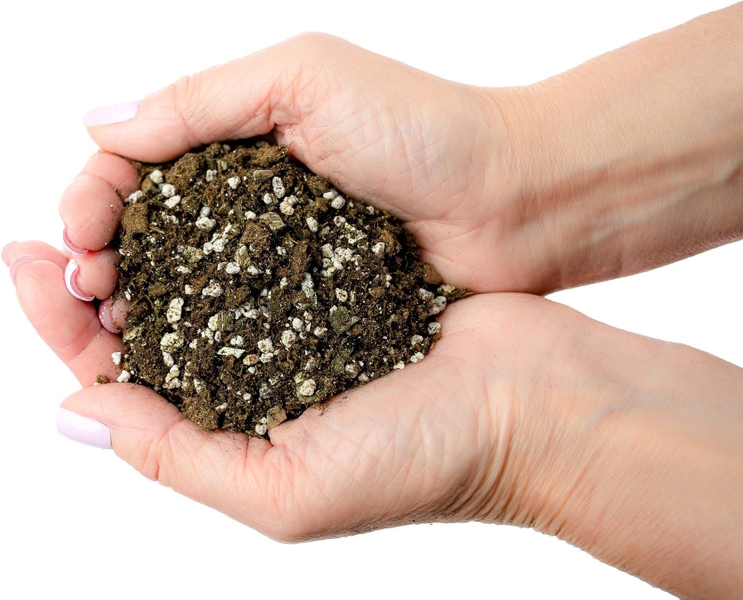 Premium African Violets and Gesneriad Premium Soil Mix by Gardenera - Horticultural Perlite (25%) + Vermiculite (25%) + Sphagnum Peat Moss (50%) - Made in USA - (5 Quart Bag)