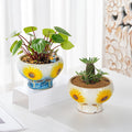 Sungmor Small Succulent Planters Set of 2, Beautiful Hand Crafted Ceramic Plant Pots Cute Cactus Pot, 6.5 Inch Flower Pots for Indoor Plants with Drainage, Desktop Windowsill Home Office Decor Pots