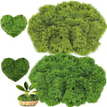Aiareozy 3.5oz Fake Moss, Fake Green Moss for Potted Plants, Artificial Moss for Crafts, Green Moss for Decorating, Moss Decor Artificial, Faux Moss for Fairy Garden Floral Wedding (100g)