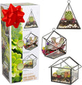 D'Eco Glass Mini Geometric Plant Terrariums, 3Pk- Hanging Triangle, House & Prism Planters for Home Decor - Fill w/Succulents, Holiday Decorations, Mini Trees & Ornaments- Xmas Gift for Plant Lovers