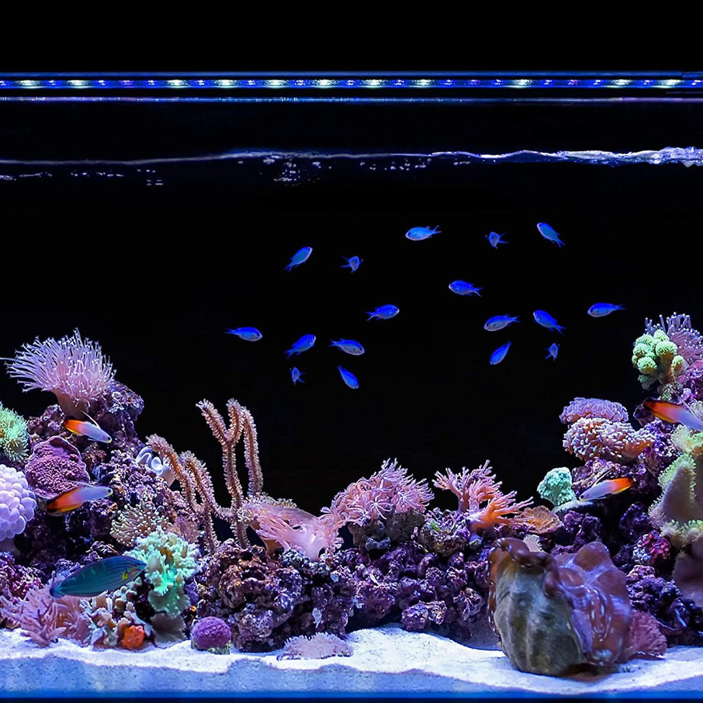CURRENT USA 72" Inch Orbit Marine IC LOOP LED Saltwater Reef Marine Aquarium Light with Bluetooth App Control | Wireless Lighting & eFlux Wave Pump Control for Fish Tank (4208)