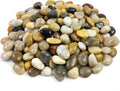 Pebbles for Indoor Plants, Natural Polished River Rocks, Small Decorative Mixed Color Stones for Planters Vase Fish Tank Aquariums Landscaping Garden, 5lbs