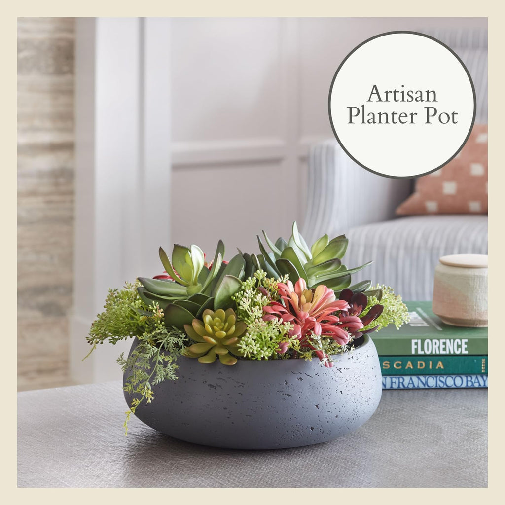 CG Hunter Faux Succulent Arrangement, Premium Artificial Indoor Plant Enhances Interior Design, Display on Any Surface in Your Home Adding an Inviting Touch of Nature, Grey Planter Pot Included
