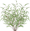 Briful 44.5’’ Tall Faux Eucalyptus Stems – Realistic Artificial Greenery Stems 5PCS Seeded Willow Eucalyptus Stems Brown Branches for Home, Office, Wedding, Bouquet, Centerpiece, Christmas Decoration