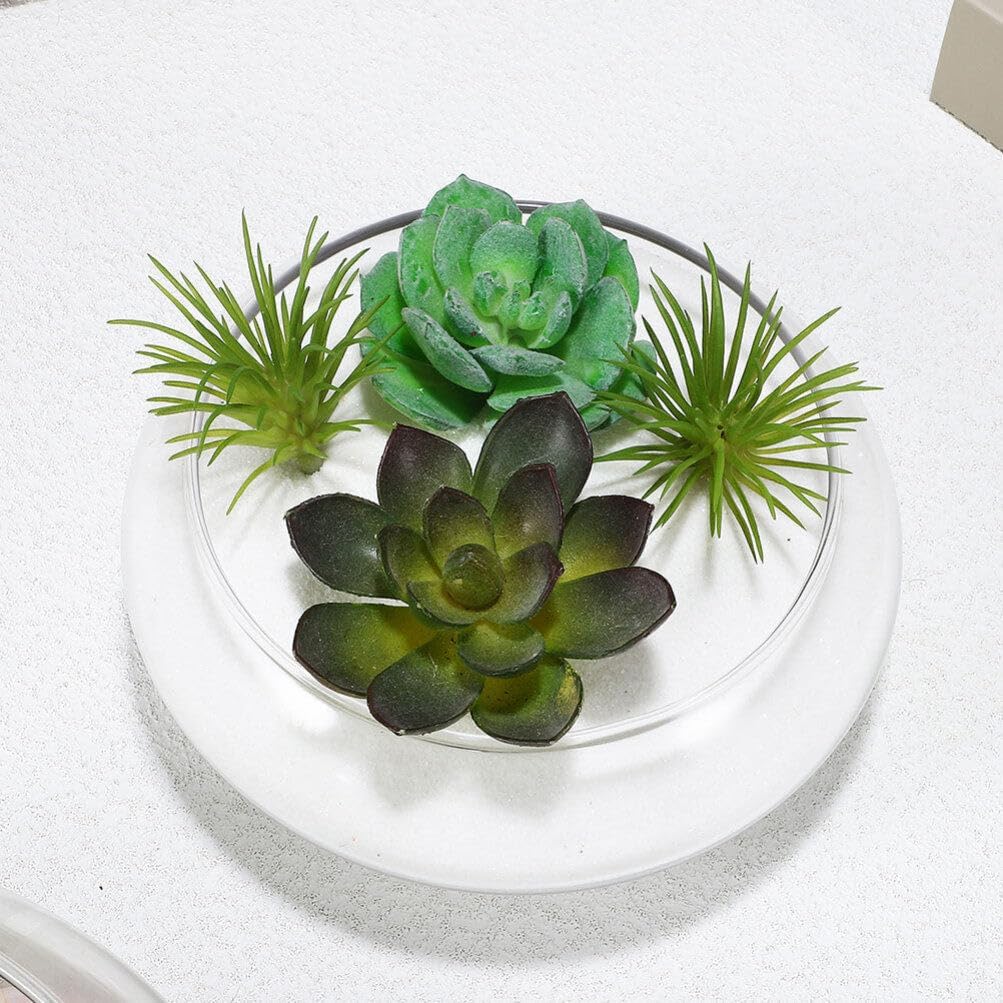 Milisten Glass Vase Bowl, Wide Mouth Flower Vase Round Terrarium Glass Hydroponic Planter Floral Container Clear Fish Bowl Succulents Pot Table Centerpiece 18cm