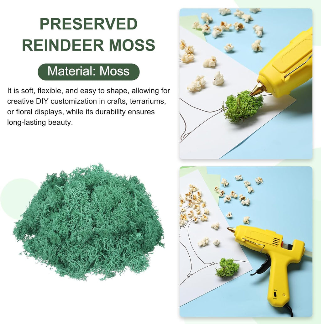 MECCANIXITY 7.8oz Preserved Reindeer Moss, Cyan Decorative Artificial Fake Moss for Potted Plants Indoor Crafts Lichen Centerpieces Decor