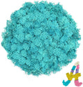 3.5 OZ Blue Reindeer Moss, Preserved Moss for Plants, Moss Decor, Green Moss for Crafts, Moss for Potted Plants, Craft Decorative Moss Decor, Dried Moss