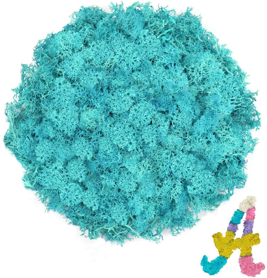 3.5 OZ Blue Reindeer Moss, Preserved Moss for Plants, Moss Decor, Green Moss for Crafts, Moss for Potted Plants, Craft Decorative Moss Decor, Dried Moss