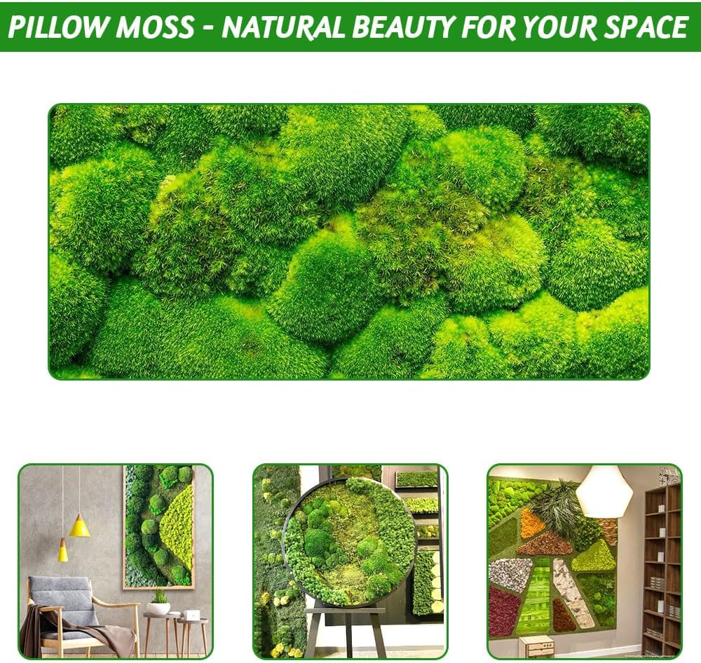 TCYPUHL Preserved Pillow Moss Bulk (2.4 Sq.Ft Yellow Green) - Natural Cushion Moss for Wall Art, Home Decor - Christmas Crafts, Holiday Decorations and Gift Giving DIY Craft, Floral Arrangements