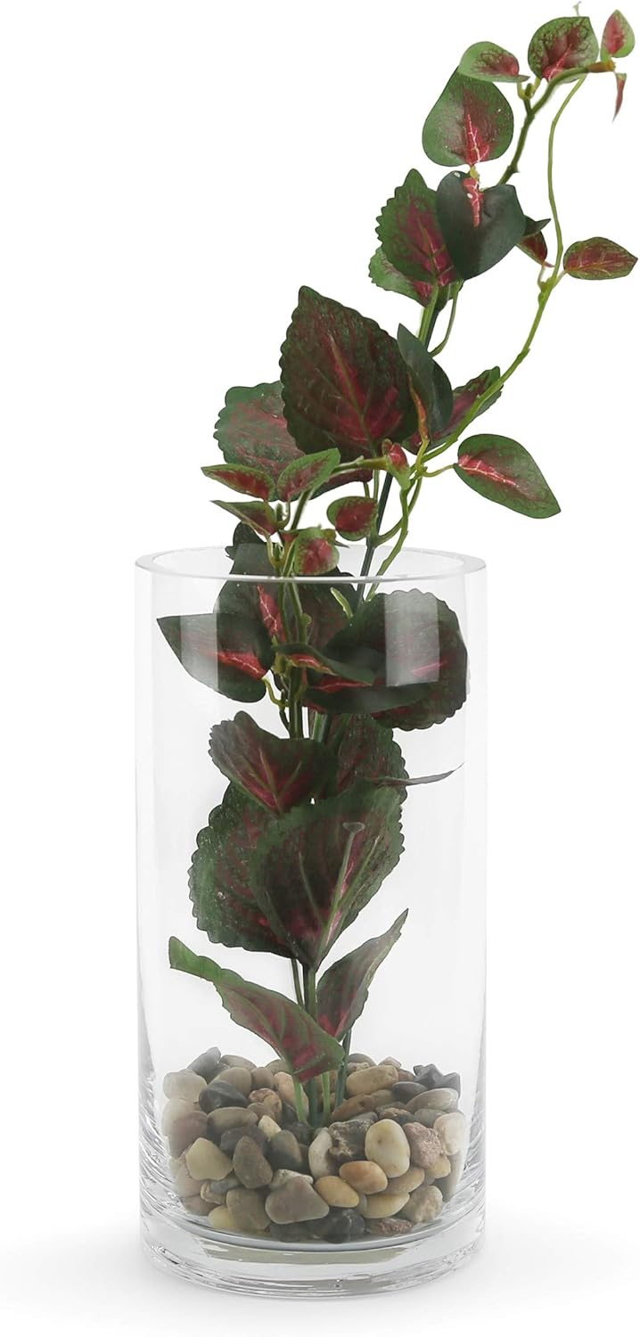 WGVI Quality Thick Weighted Clear Cylinder Glass Vases, 4" W x 8" H, Flower Arrangement Floating Candle Holders Wedding Centerpieces Terrarium Planter Floral Storage Container, Bulk Wholesale, 6 Pcs