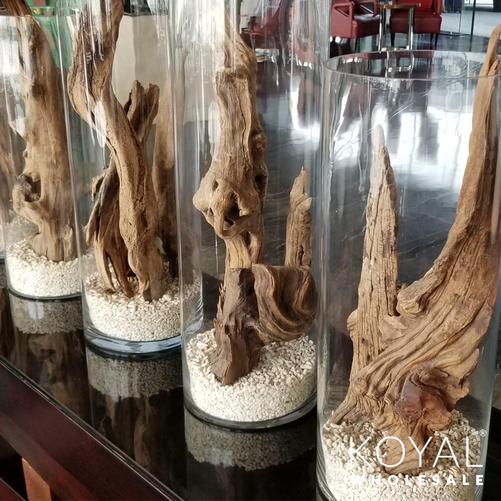 Koyal Wholesale 24" Driftwood Terrarium Decor, Clean California Manzanita Drift Wood Reptile Decor, Driftwood Decor for Home, Desert Reptile Supplies