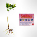Generic AquaGardens | Red Mangrove - Live Plant (Large + Heat Pack for Cold Weather Shipping), Green
