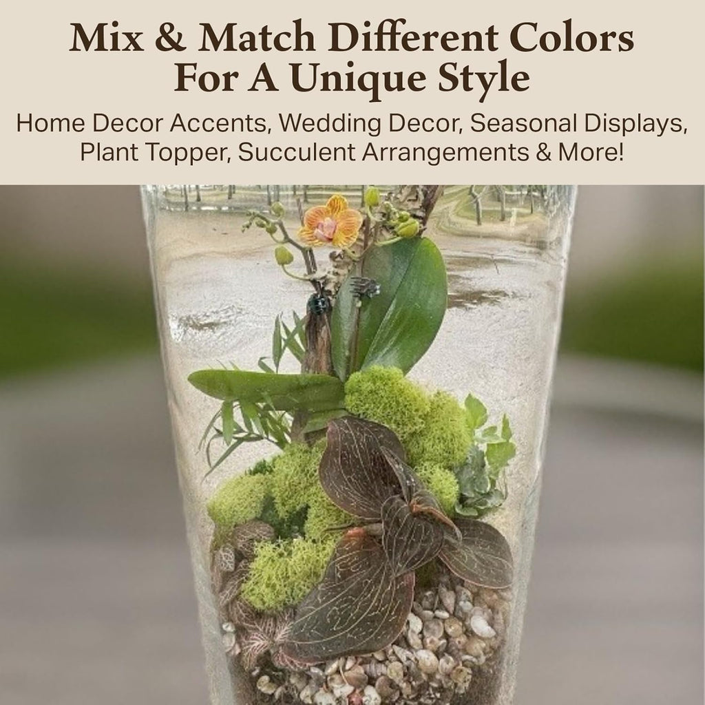 Quality Growers - Preserved Reindeer Moss - Moss for Crafts, Home Decor, Art, Design & DIY Projects - Non-Toxic - USA Made (Spring Green, Small, 2-Pack)