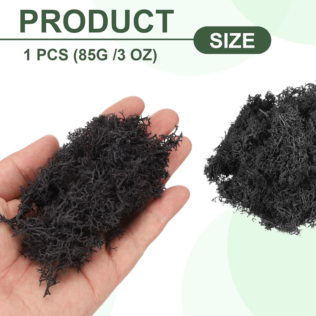 MECCANIXITY 3oz Preserved Reindeer Moss, Black Decorative Artificial Fake Moss for Potted Plants Indoor Crafts Lichen Centerpieces Decor