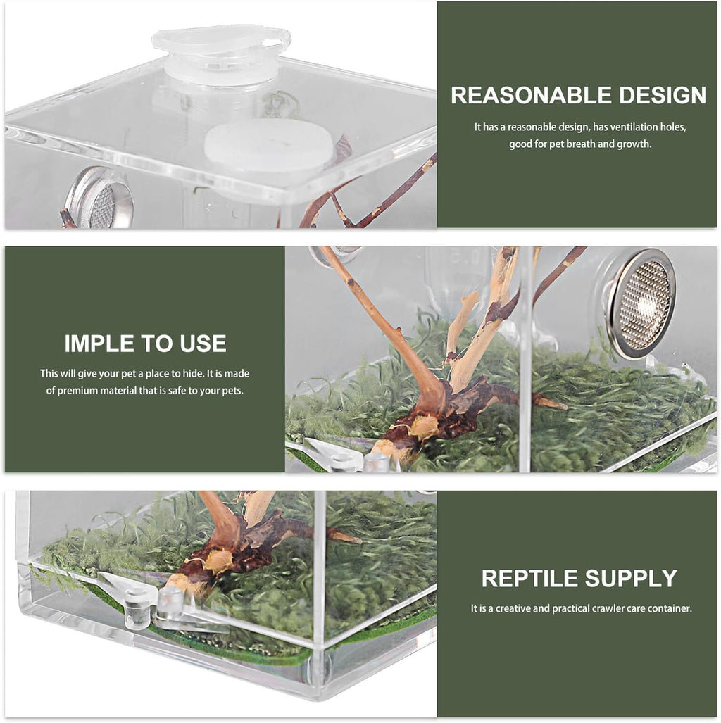 COHEALI Reptile Breeding Box Small Portable Acrylic Spider Terrarium with Dropper and Forceps Transparent Moisture- Enclosure for Small Crawling Insects and Jumping Pets