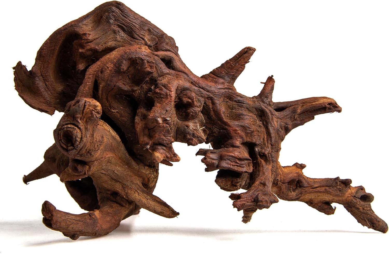 emours Aquarium Driftwood, 2 Pieces, Natural Mopani Style Branches, Low-Tannin & Smooth Edges, Sink Faster After Soak, Tie Moss Easily, for Planted/Shrimp/Betta Tanks (Medium (12–16 in / 30–40 cm))