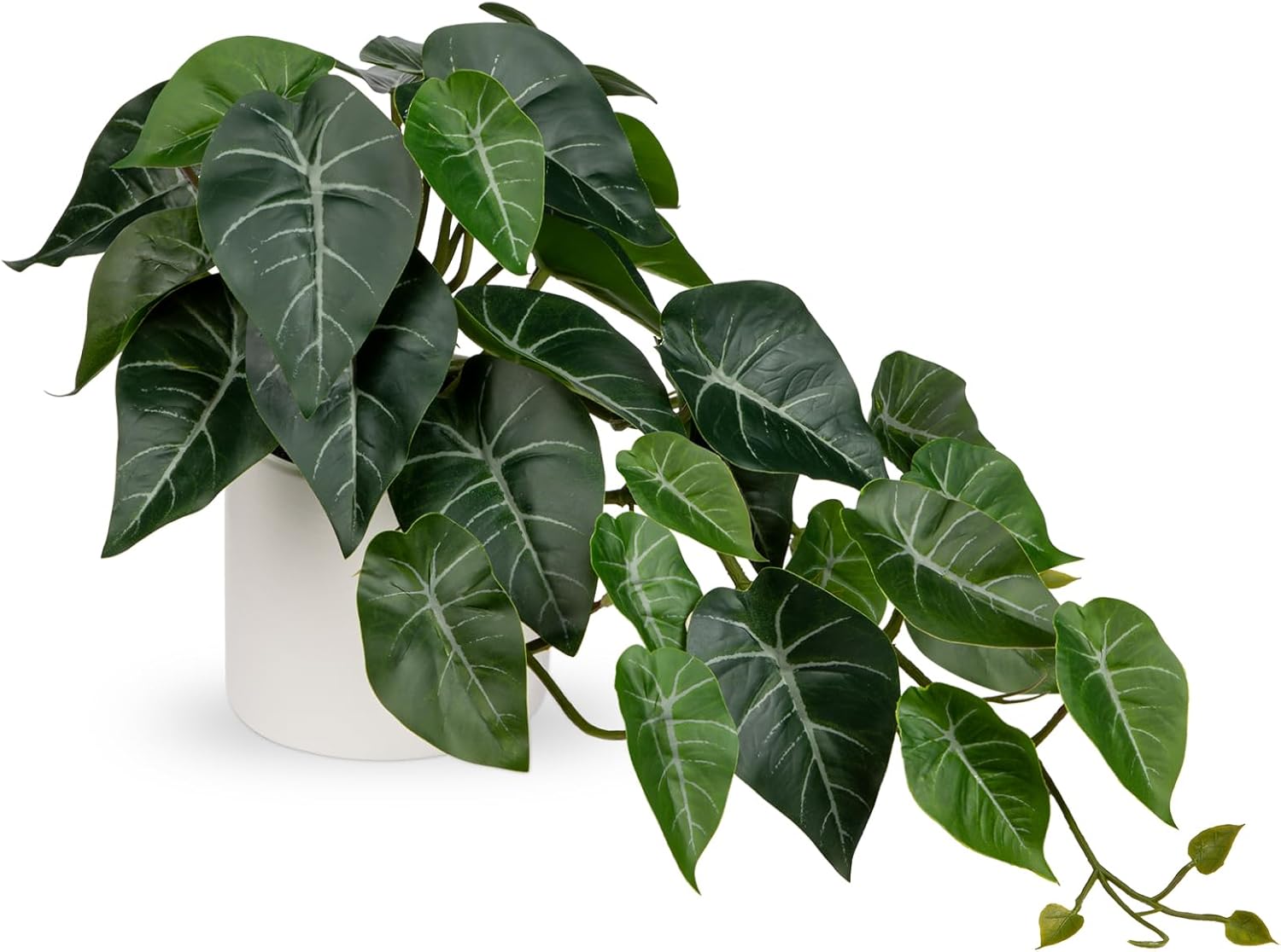 Hollyone Artificial Plants Potted Alocasia Amazonica Polly Faux Plant with White Ceramic Pot Fake Hanging Plants Indoor for Home Living Room Shelf Office Aesthetic Decor