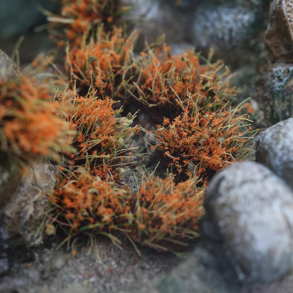 32-Piece 8mm Tall Diorama-Flowers-Grass Point Leaf Miniature-Clusters-Beige Gray Static-Grass for Model-Train-Scener Wargaming-Terrain ，Dioramas & DIY Crafts